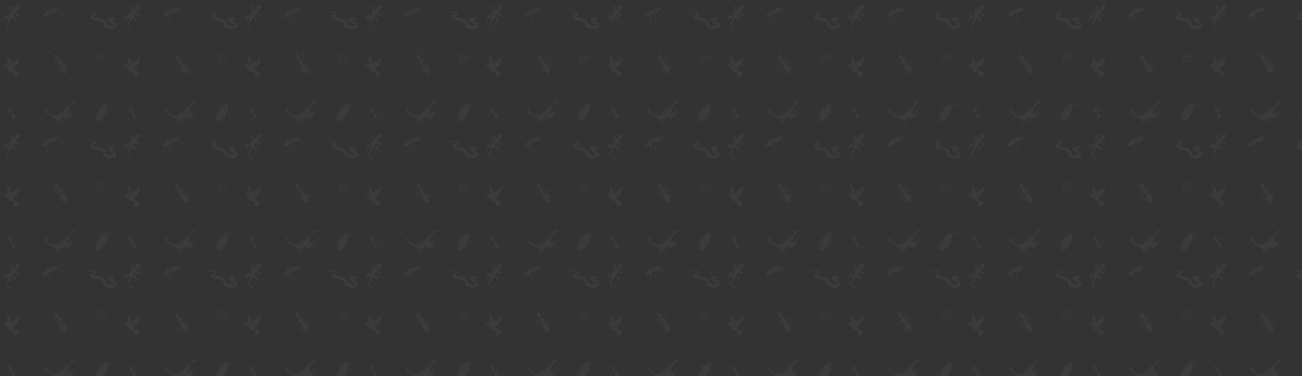 staticslider